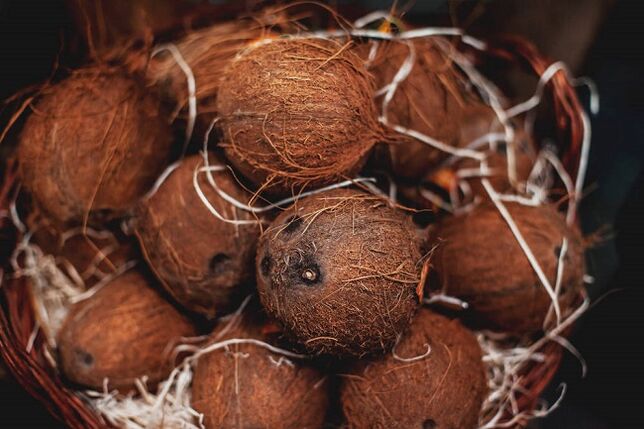 kelapa dan minyak kelapa untuk diet ketogenik
